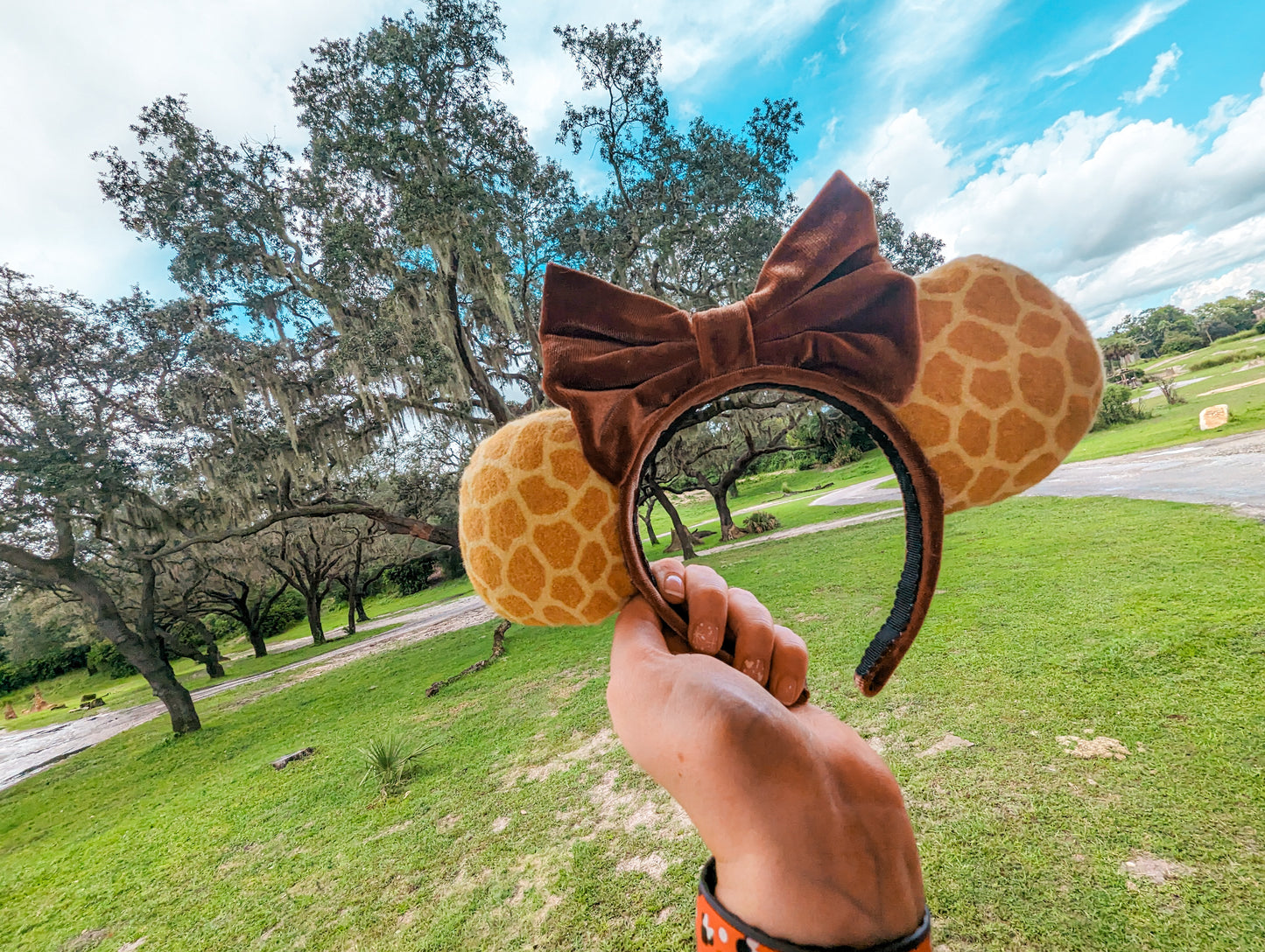 Animal Print Minnie Ears