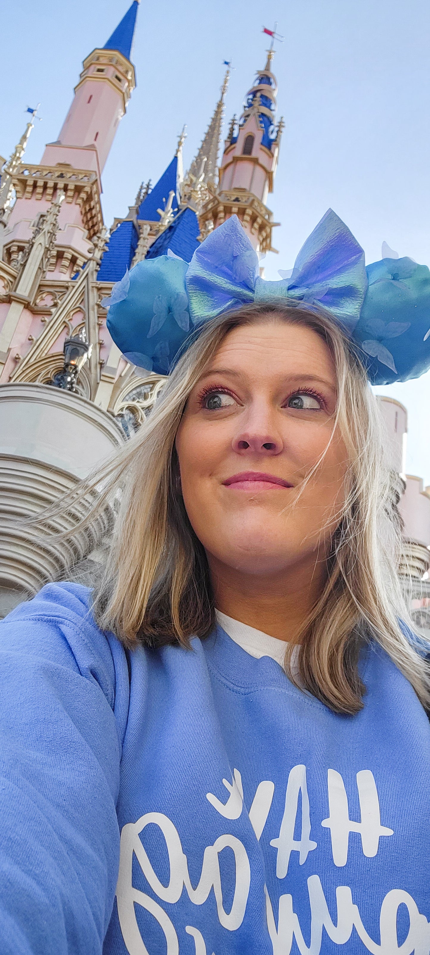 Cinderella Inspired Minnie Ears