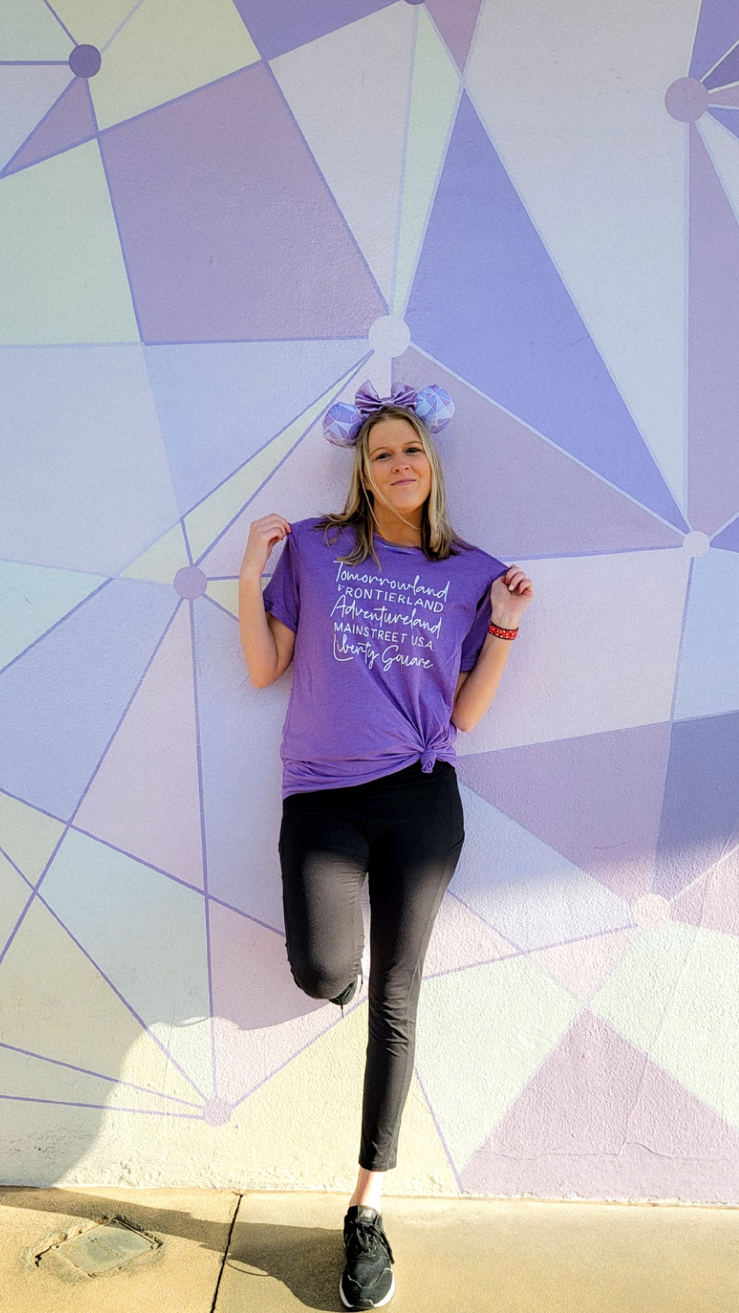 Purple Wall Inspired Minnie Ears