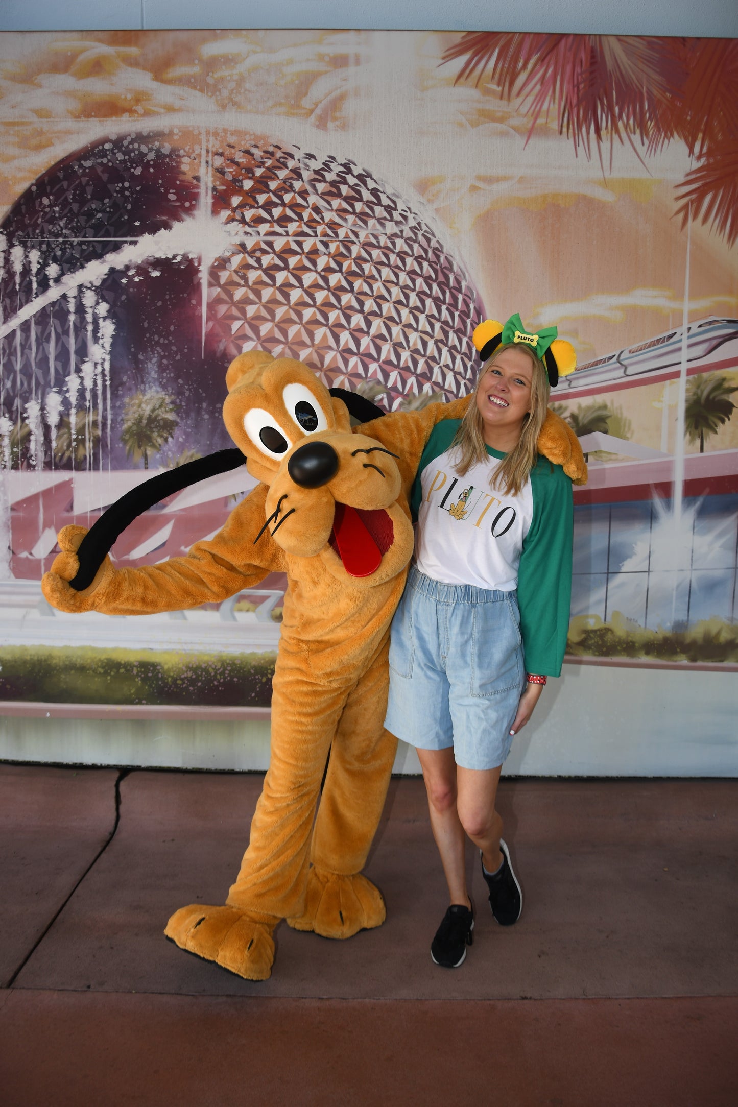 Pluto Inspired Minnie Ears