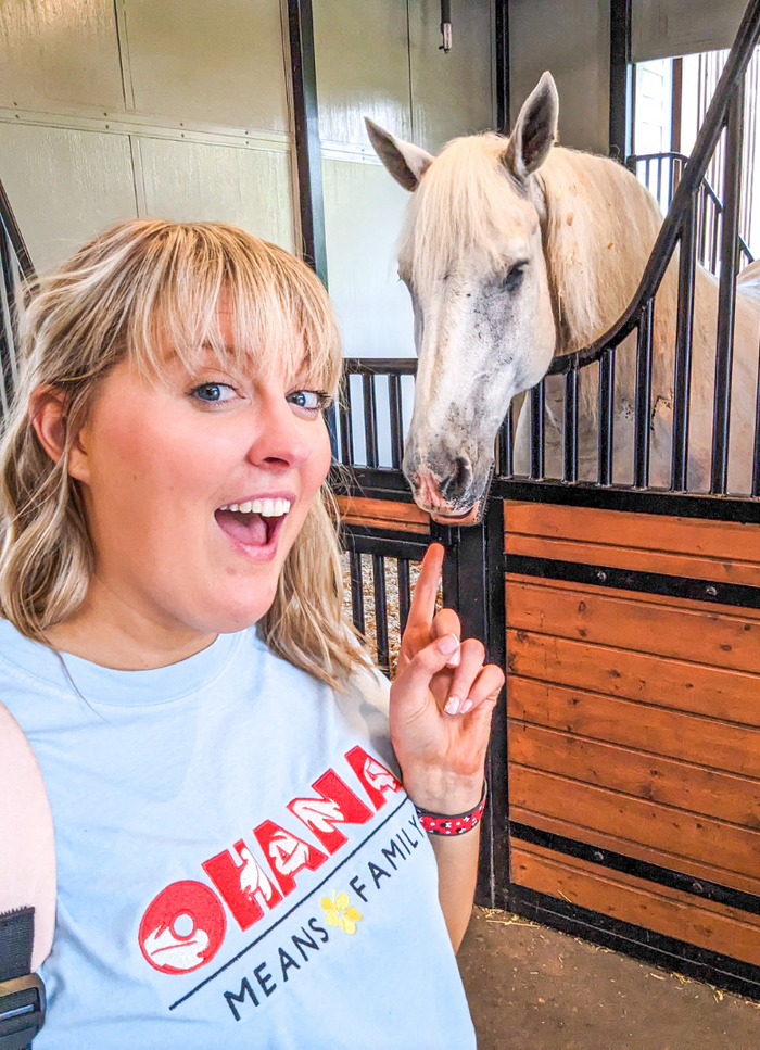 Tri-Circle D Ranch the Horses of Disney