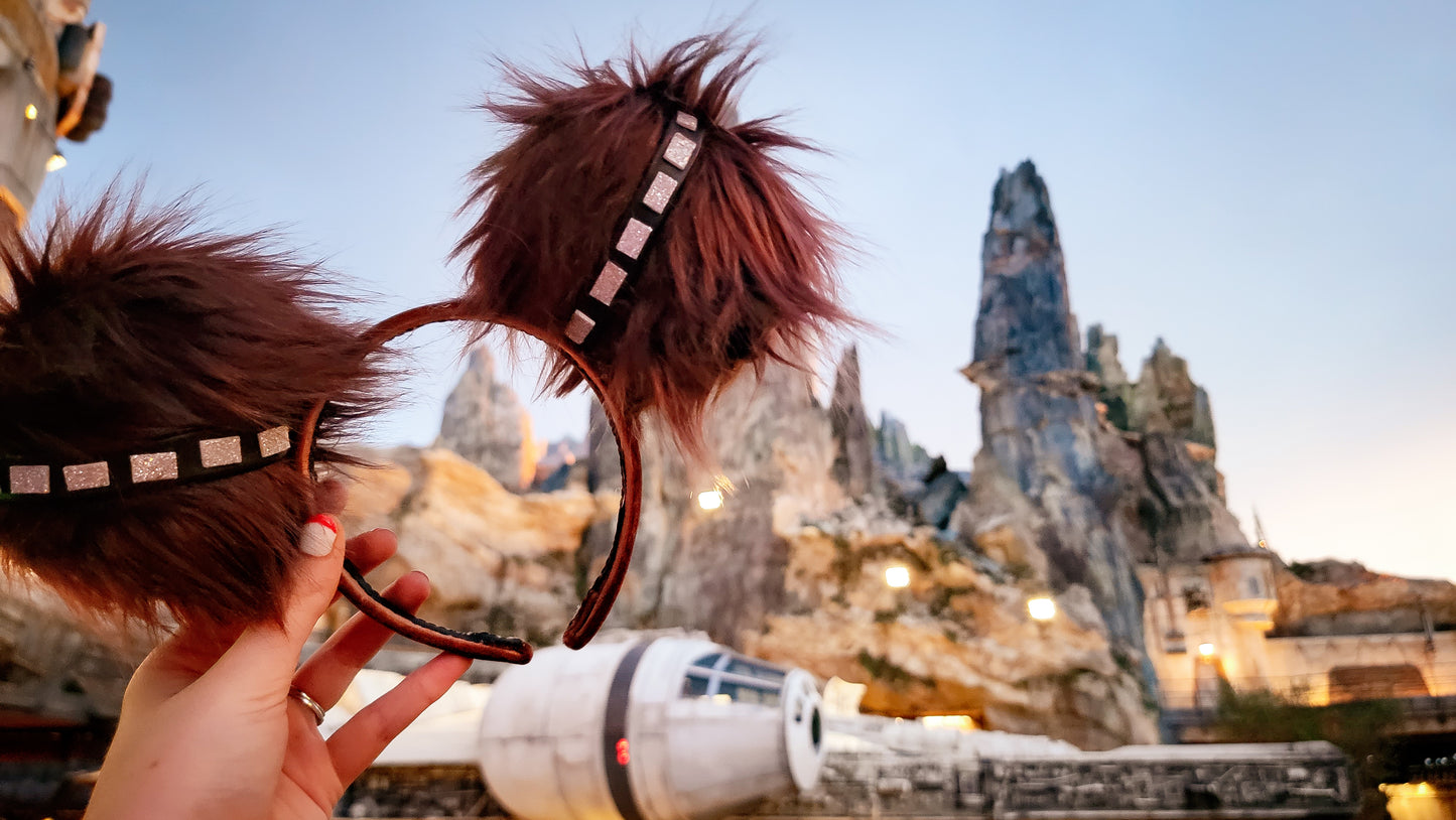 Chewbacca Inspired Minnie Ears